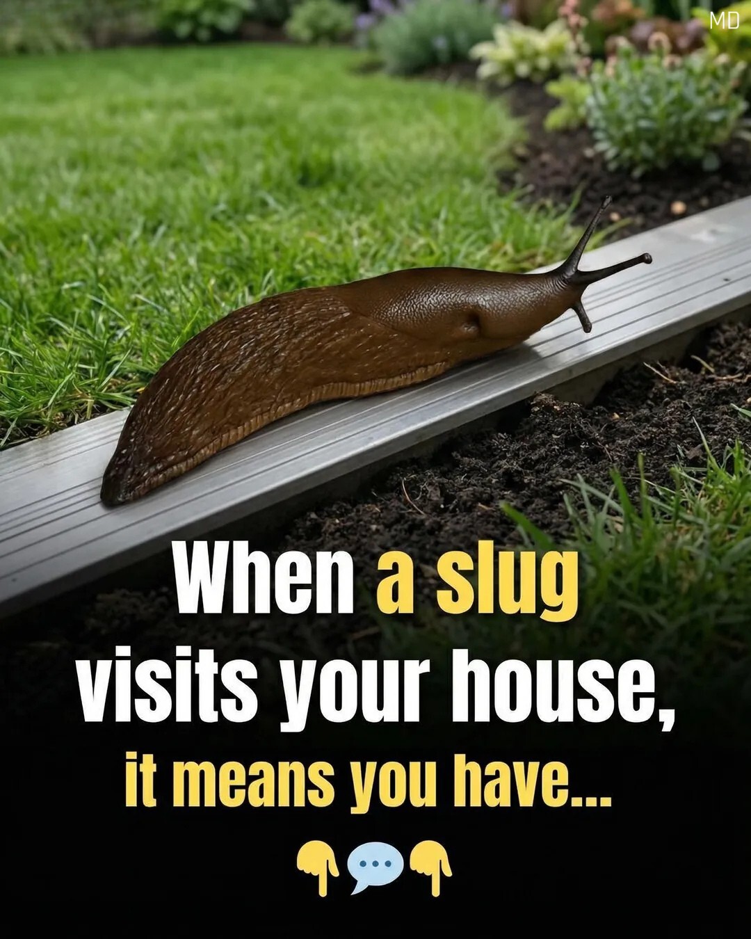 Why Slugs Are More Important Than Most People Realize