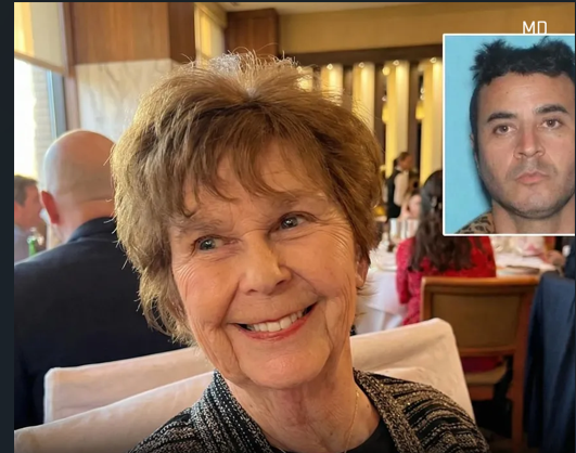 Former LA County Employee Arrested in Connection With Nancy Guthrie Investigation