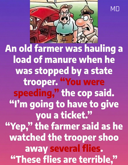 A Classroom Joke and a Farmer’s Clever Sense of Humor