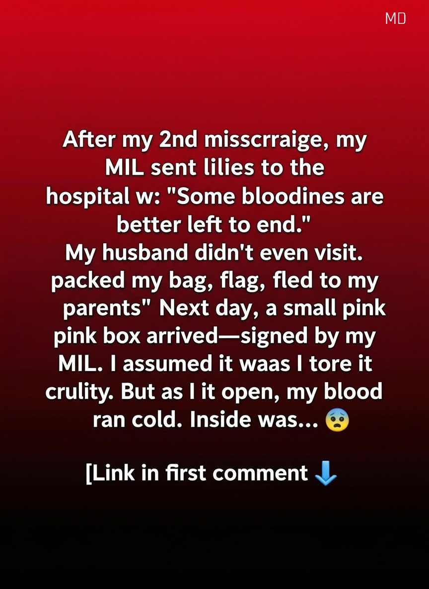 A Small Pink Box, a Family Misunderstanding, and the Start of Healing