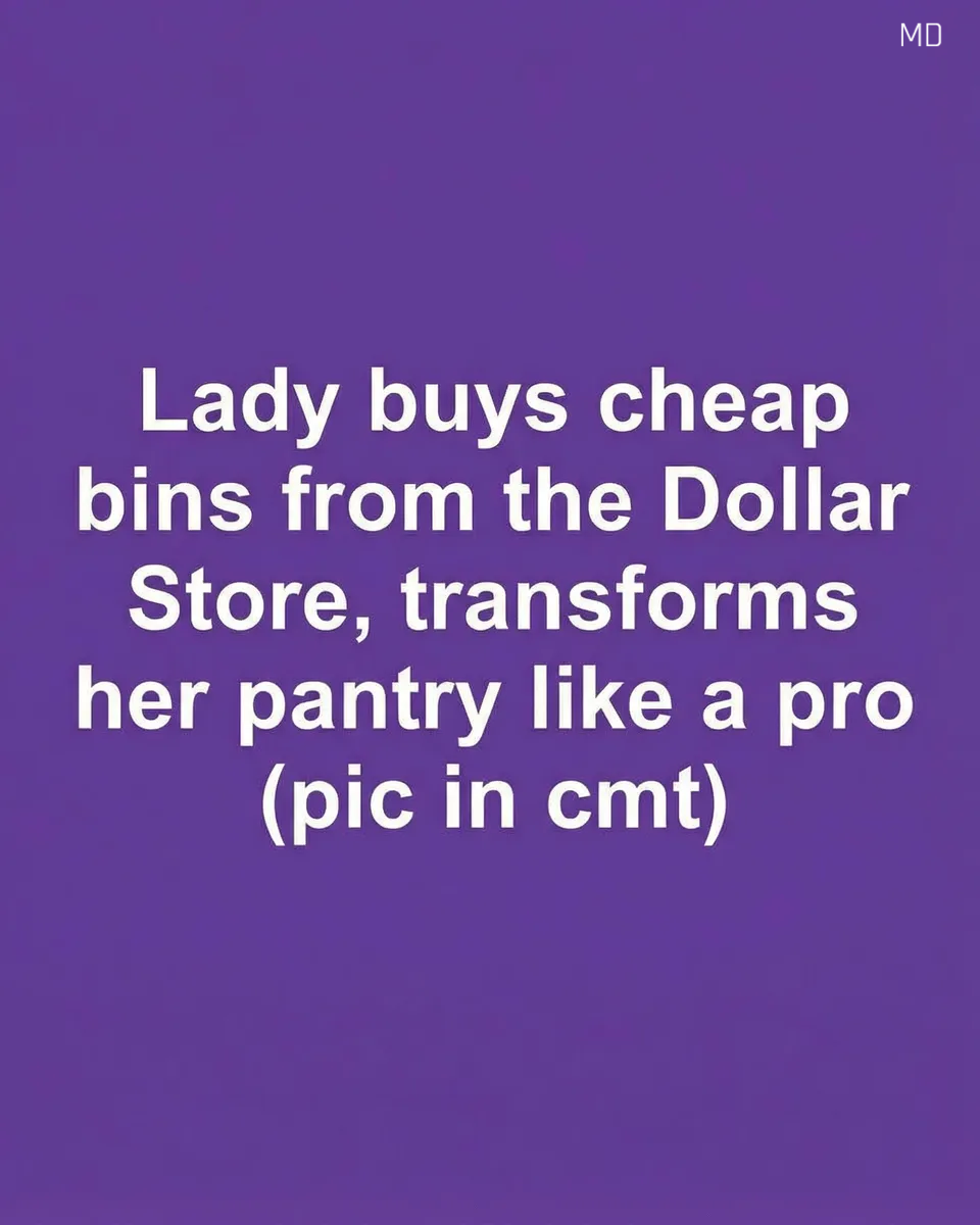 Smart and Affordable Pantry Organization Ideas Using Dollar Store Bins