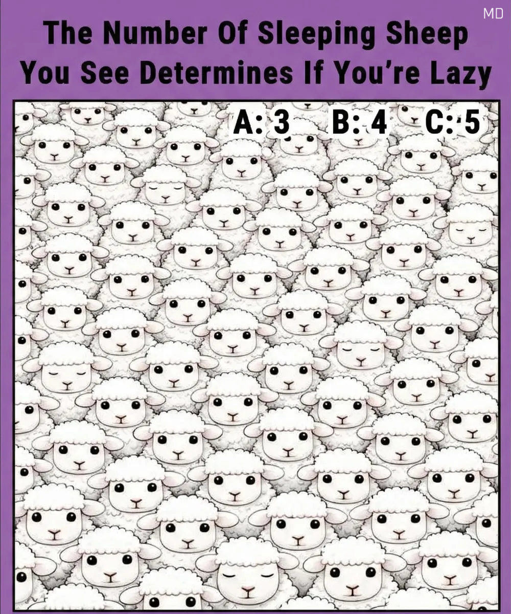 How Many Sleeping Sheep Can You Spot? A Fun Visual Challenge to Test Your Attention