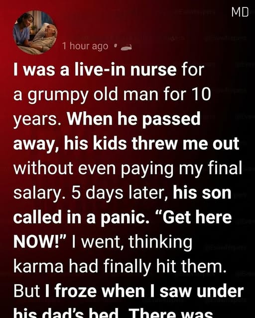 After Caring for Him for 10 Years, I Was Asked to Leave—Then His Final Gift Changed Everything