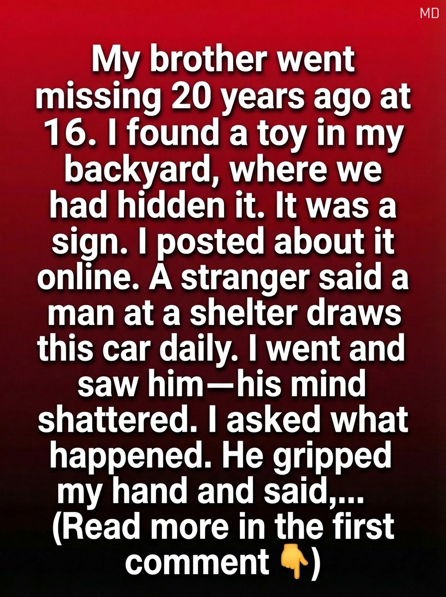 The Toy Car in the Backyard: A Long-Lost Brother and the Memory That Led Him Home